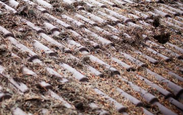 Yottenfews roof cleaning companies